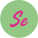 logo Studioexress