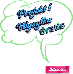 infografika projekt graris
