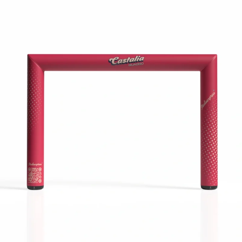 castalia Quadro-Camera.webp